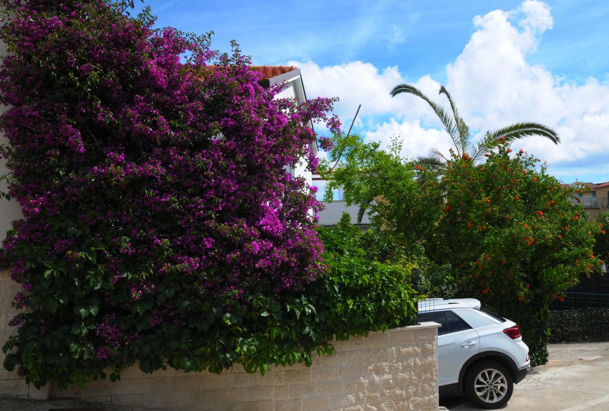 Apartments Antares Mali Lošinj Extérieur photo